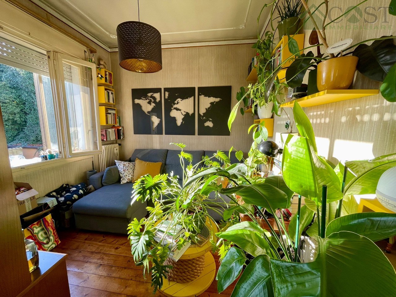 immagine annuncio 4 di 14