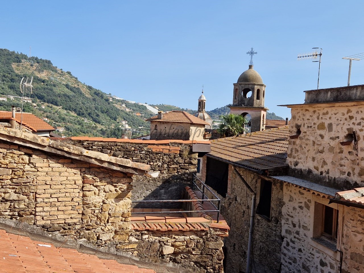 Immagine WhatsApp 2024-07-25 ore 10.49.16_63a59859