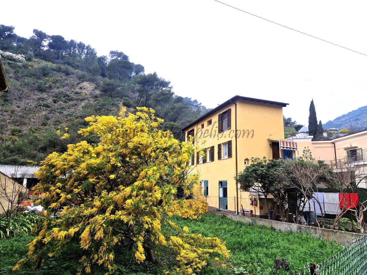 photo_5834699976720715343_y