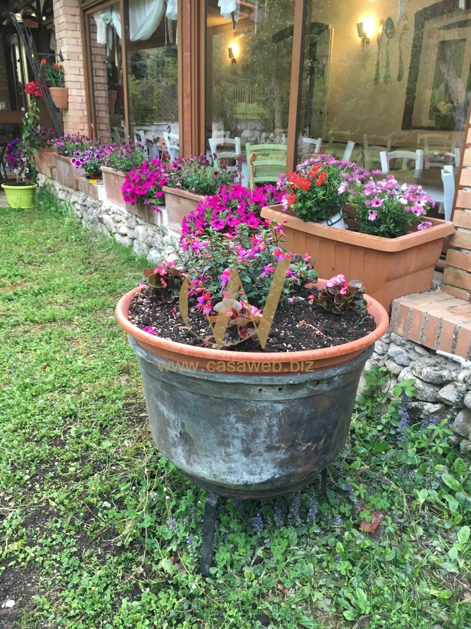 immagine annuncio 4 di 15