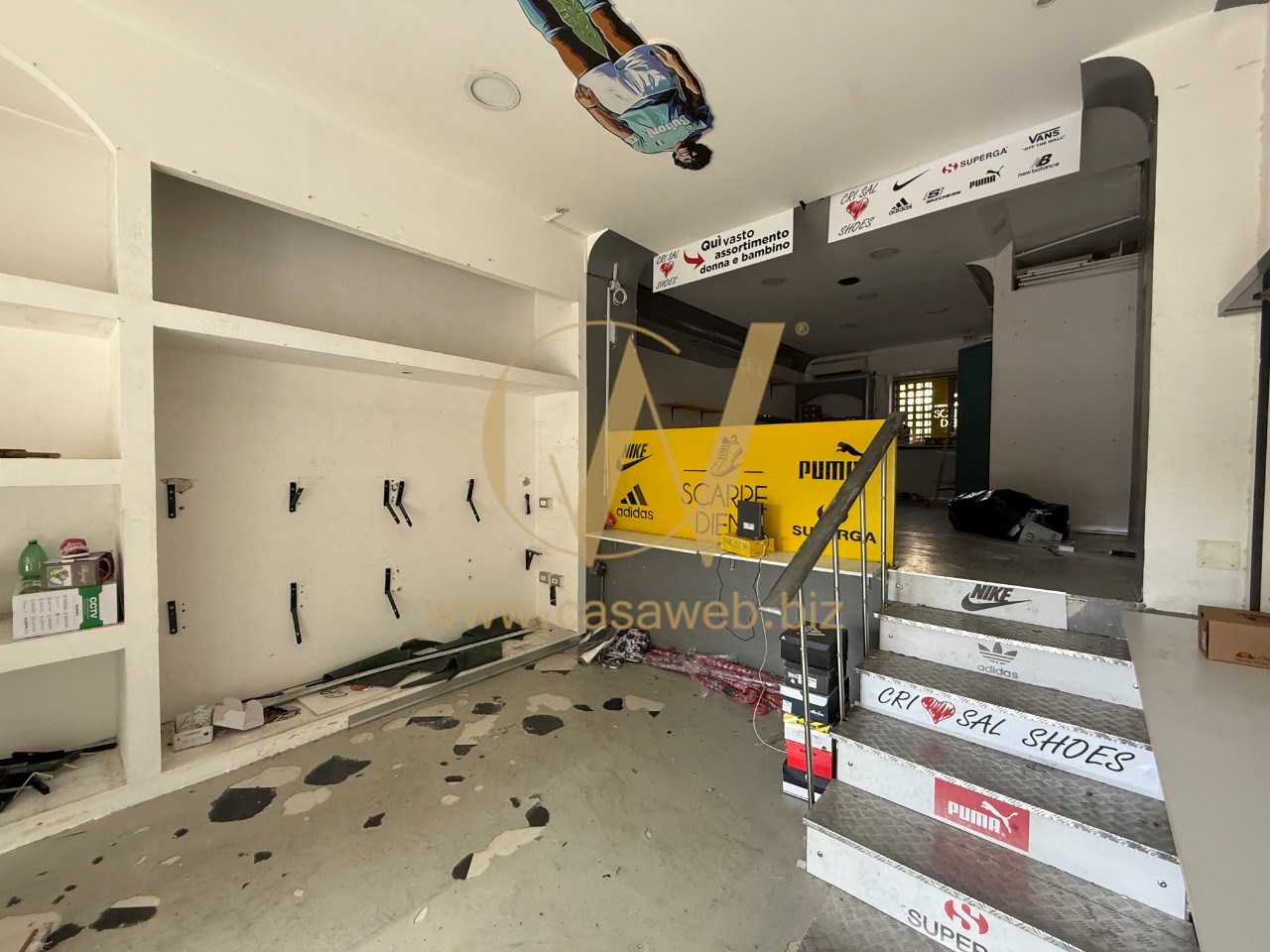 immagine annuncio 11 di 13