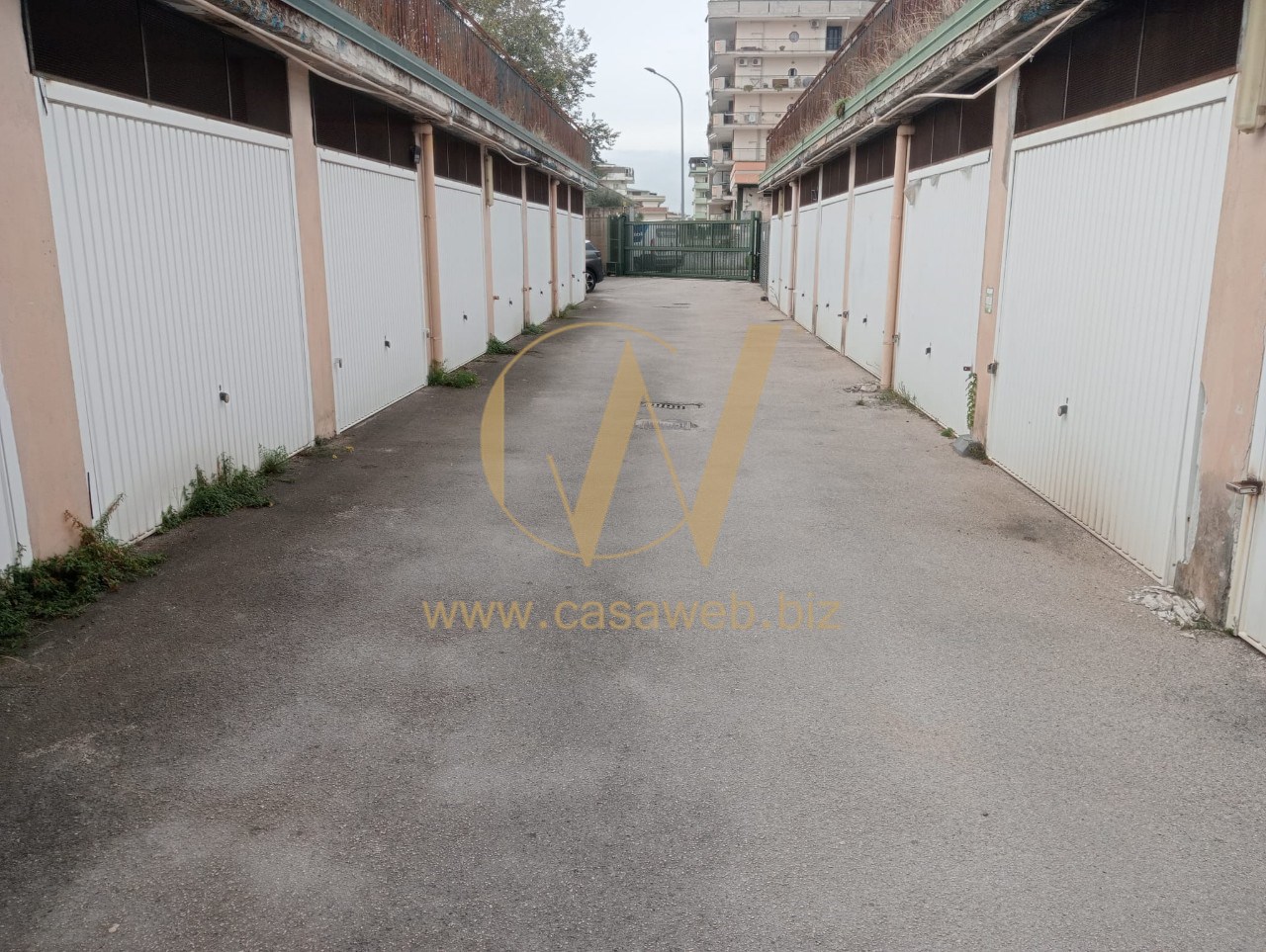 Immagine WhatsApp 2025-10-30 ore 11.31.07_6f4bd561