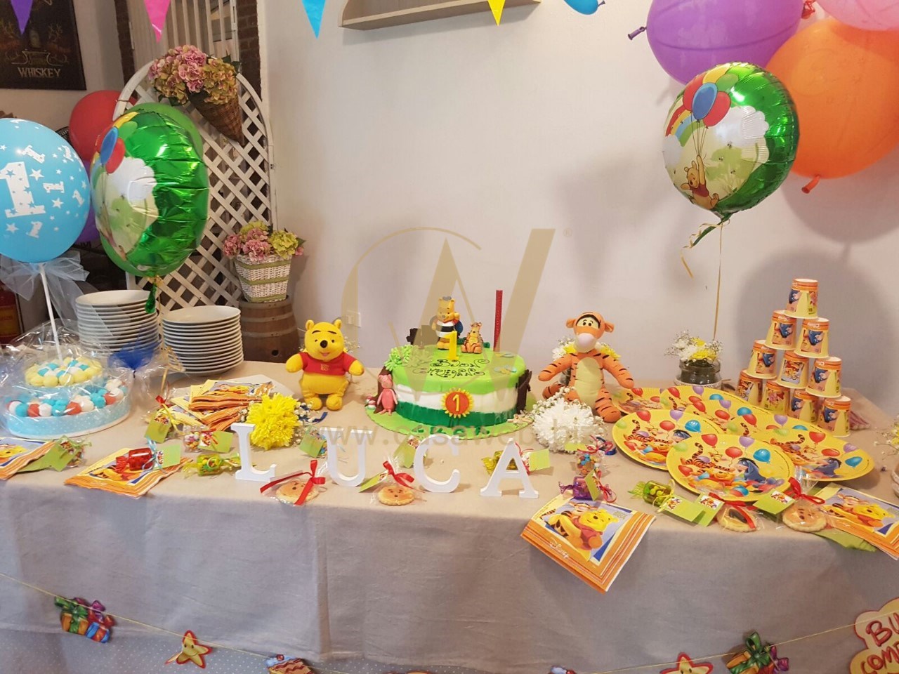 immagine annuncio 11 di 15