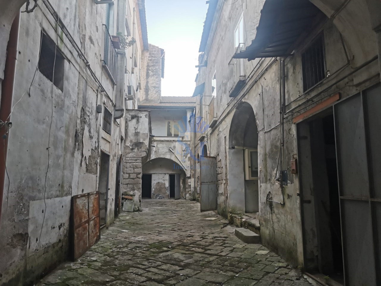 Immagine WhatsApp 2024-11-06 ore 17.29.16_452edbdb